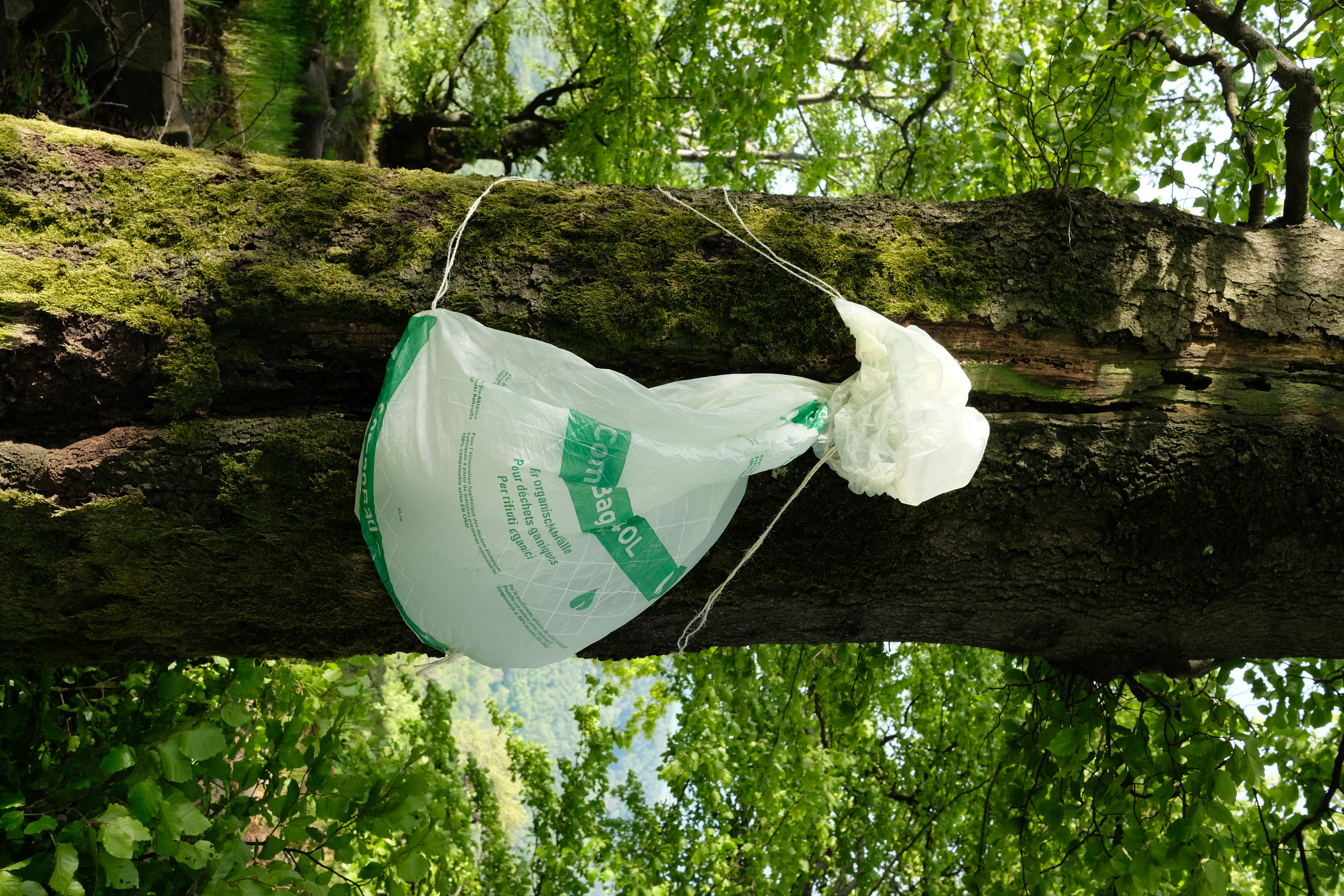 2020 05 Burial Of The White Man For Erik Niedling, Thuringia — Ernestyna Orlowska — Jeronim Horvat